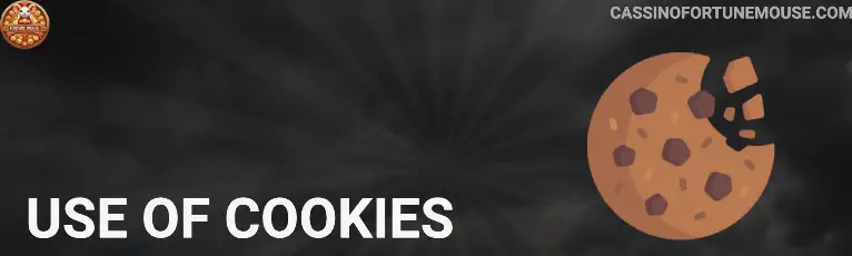Use of cookies Fortune Mouse